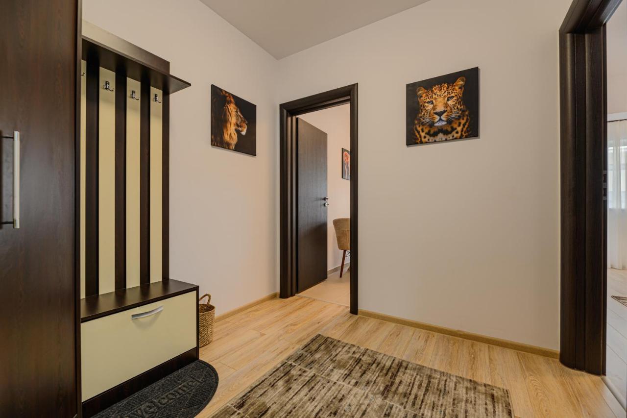 Zen Apartments Braşov Esterno foto